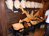 DSCN0293